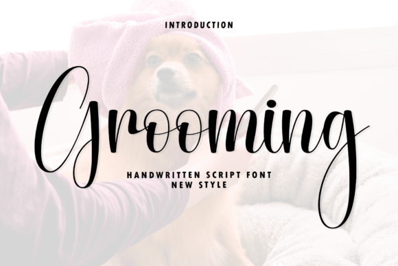 Grooming: The Fluid Script for Elevated Design