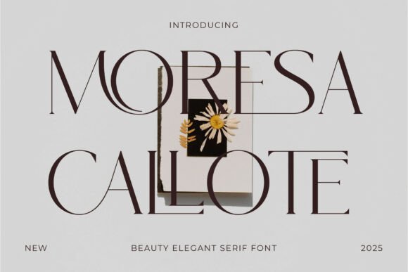 Moresa Callote: The Serif Font That Commands Attention